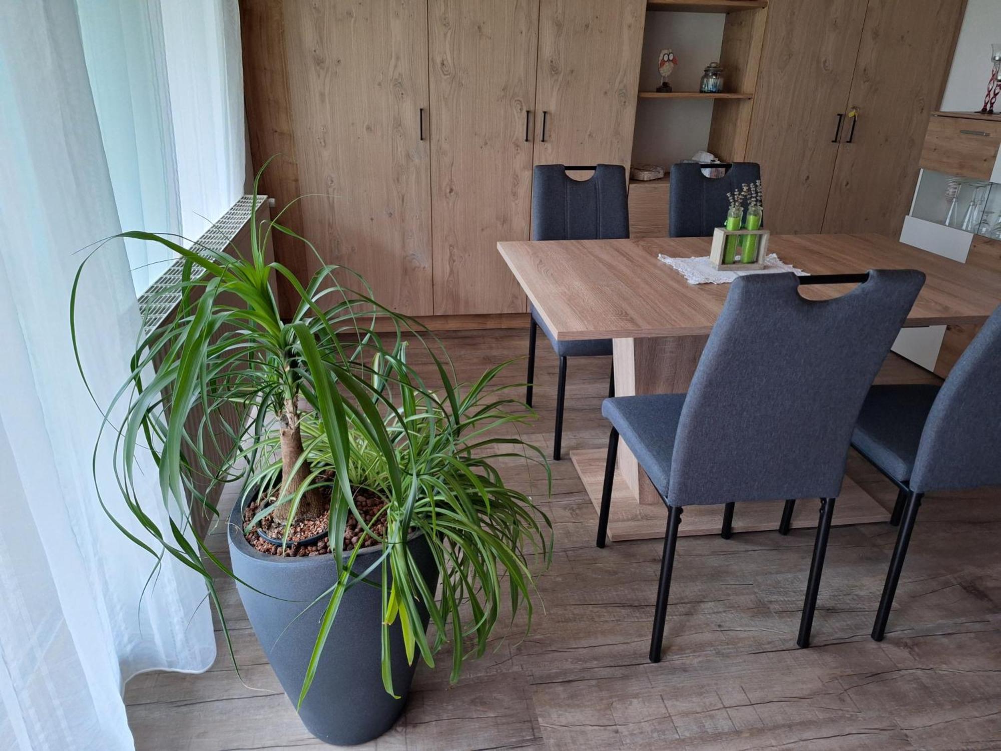 Apartment Eva Sautens Eksteriør billede